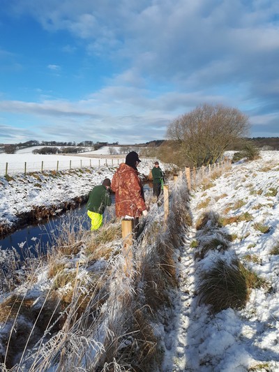 Winter Tree Planting