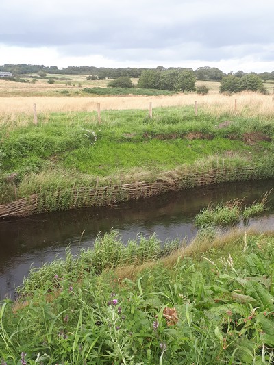 Willow Weave and Wild Flower Bank Repair both Sides 2